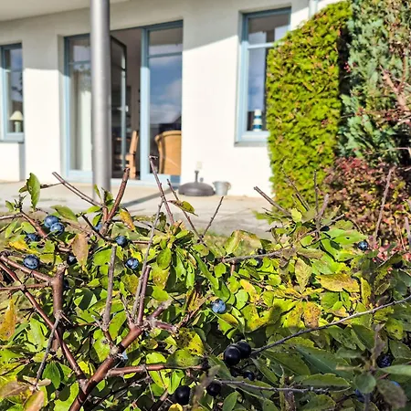 Apartment Bellevue-5 By Interhome Zinnowitz